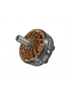 SZ2207 V2 Motor für 5-Zoll-Renndrohne 1750 KV/1950 KV/2750 KV